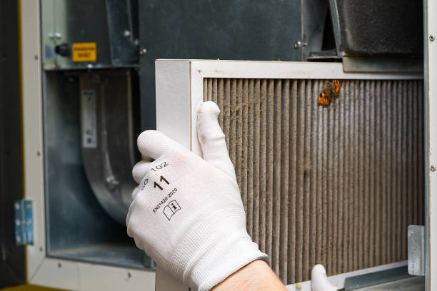 Air Duct Mold Removal in Mehlville, MO