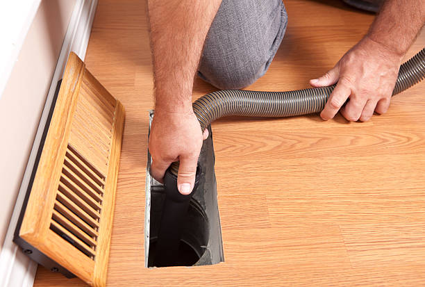 Best Air Duct Mold Removal  in Mehlville, MO