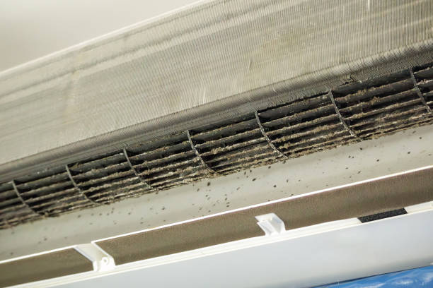 Best Residential Air Duct Cleaning  in Mehlville, MO